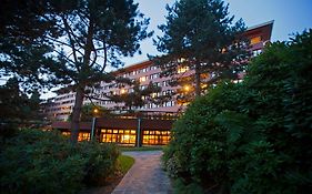 Disney Sequoia Lodge